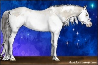 Horse Color:White Spotted Liver Red Dun Sabino Splash 
