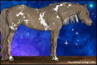 Horse Color:White Spotted Chocolate Palomino