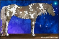 Horse Color:White Spotted Chocolate Palomino