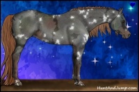 Horse Color:White Spotted Liver Chestnut Ice 