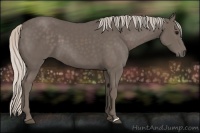 Horse Color:Silver Black 