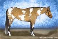 Horse Color:White Spotted Buckskin Dun 