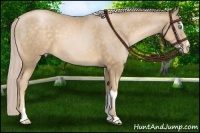 Horse Color:Chocolate Palomino Pearl and Chocolate Palomino Pearl Sabino