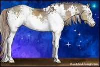 Horse Color:White Spotted Chocolate Palomino Ice