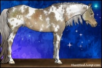 Horse Color:White Spotted Chocolate Palomino