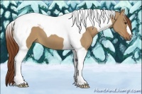 Horse Color:Red Dun Tobiano
