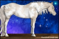 Horse Color:White Spotted Chocolate Palomino Pearl Rabicano 