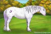 Horse Color:Watercolor Buckskin Appaloosa Rabicano 