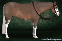 Horse Color:Silver Black Sabino