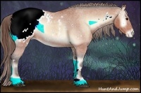 Horse Color:White Spotted Buckskin Onyx Appaloosa Rabicano