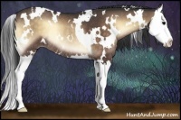 Horse Color:White Spotted Buckskin Onyx Splash Rabicano 