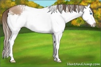 Horse Color:White Spotted Black Pearl Splash 