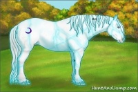 Horse Color:Thunderstruck Watercolor Perlino Varnish Rabicano 