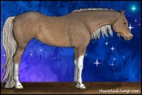 Horse Color:Chocolate Palomino