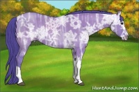 Horse Color:Watercolor Grullo Ice