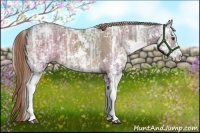 Horse Color:Liver Chestnut Ice Sabino 