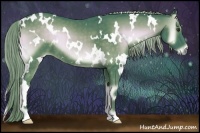 Horse Color:Watercolor White Spotted Chocolate Palomino Onyx 