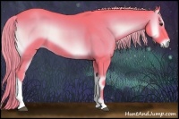 Horse Color:Watercolor Chocolate Palomino Onyx 