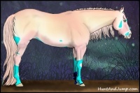 Horse Color:Watercolor Cremello Onyx Sabino 
