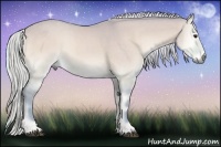 Horse Color:Watercolor Silver Buckskin Onyx Sabino 