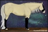 Horse Color:Watercolor Palomino Dun Sabino Splash 