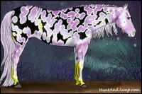 Horse Color:Watercolor Chocolate Palomino Onyx Sabino Appaloosa