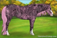 Horse Color:Watercolor Smoky Black Ice Sabino 