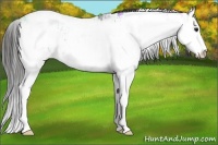 Horse Color:Smoky Black Ice Sabino Splash 