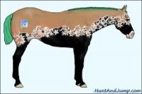 Horse Color:Watercolor Bay Splash 