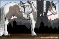 Horse Color:Grullo Splash Tobiano 