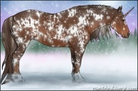 Horse Color:White Spotted Liver Chestnut and White Spotted Liver Chestnut