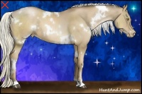 Horse Color:White Spotted Liver Chestnut Pearl 