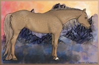 Horse Color:Chocolate Palomino 