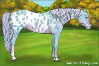 Horse Color:Watercolor Chocolate Palomino Ice Sabino Appaloosa