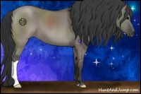 Horse Color:Grullo