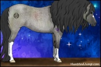 Horse Color:Grullo Roan