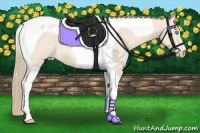 Horse Color:Perlino Tobiano 