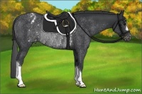 Horse Color:Black Varnish Rabicano 