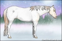 Horse Color:Bay Pearl Dun Tobiano Appaloosa 