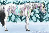 Horse Color:Black Ice Tobiano 