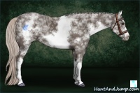Horse Color:White Spotted Silver Black Ice Sabino Frame Rabicano