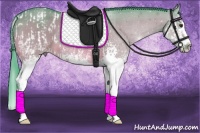 Horse Color:Watercolor White Spotted Bay Dun Splash Appaloosa and Watercolor White Spotted Bay Dun Splash