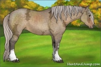 Horse Color:White Spotted Silver Bay Ice Dun Rabicano