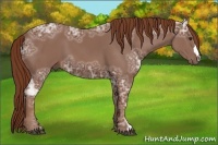 Horse Color:Chestnut Ice 