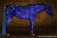 Horse Color:ERROR: UNKNOWN ANOMALY and ERROR: UNKNOWN ANOMALY