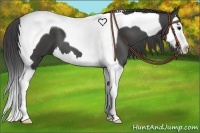Horse Color:Smoky Black Splash Tobiano