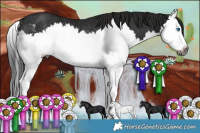 Horse Color:Gray Black Sabino Splash Rabicano