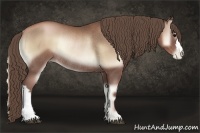 Horse Color:Blue Onyx Pearl Rabicano
