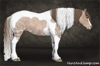 Horse Color:Black Ice Pearl Sabino Tobiano Rabicano 