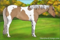 Horse Color:Silver Bay Dun Tobiano